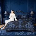 thumbnail image 4 of Erosebridal Damask Baroque Floral 7-Piece Twin Bedding Sets For Adult,Vintage Gothic Theme Bedding Comforter Set,Reversible black, 4 of 6
