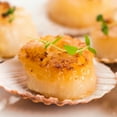 thumbnail image 2 of Today Gourmet - Scallops - U10 Dry (2.5lb Pkg), 2 of 6