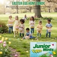 thumbnail image 4 of Junior Mints Egg-Shaped Dark Chocolate Candy 3.5 Oz Mini Theater Box 3 Pack, Creamy Mint Easter Candy, Egg Hunt Fillers, Party Favors, Gift Basket Stuffers, 4 of 7