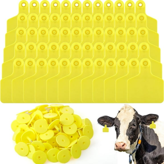 100 Pieces Blank Cow Ear Tags Large Plastic Livestock Ear Tags for Cow Horse Dog Pig Goat Sheep Farm Management Yellow,100 pcs * pigs ears,Yellow