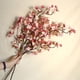 thumbnail image 1 of Decoración de ramas de flor de cerezo, flor de cerezo artificial 4 Decoración de flores de cerezo Ramas de flor de cerezo artificiales Uso conveniente, 1 of 12