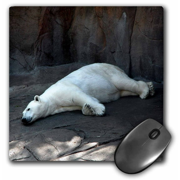 3dRose, Sleeping Polar Bear, MousePad