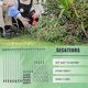 thumbnail image 3 of 60Pcs Plant Supports Set-20 Pack Flower Plant Stakes Sticks (3 Sizes), 3 of 5