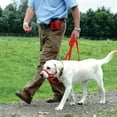 thumbnail image 3 of Maynos Nylon Dog Training Head Collar No Pull, Head Harness Stops Dog Pulling with Head Leash, 3 of 8