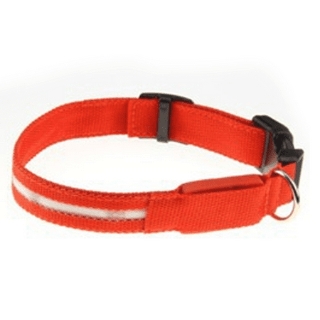 Dog collar led flashing light sale