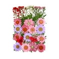thumbnail image 2 of Surtido de flores secas prensadas, adornos de flores secas naturales para resina Rosa, 2 of 3
