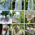 thumbnail image 2 of 100PCS Fruit Protection Bag Fruit Mesh Bag Plant Fruit Net Bag Breathable Protection Bag Bird and Insect Prevention Fruit Fly Barrier Bag Anti Bite Bird Pecking Orchards 20cmx30cm White, 2 of 9