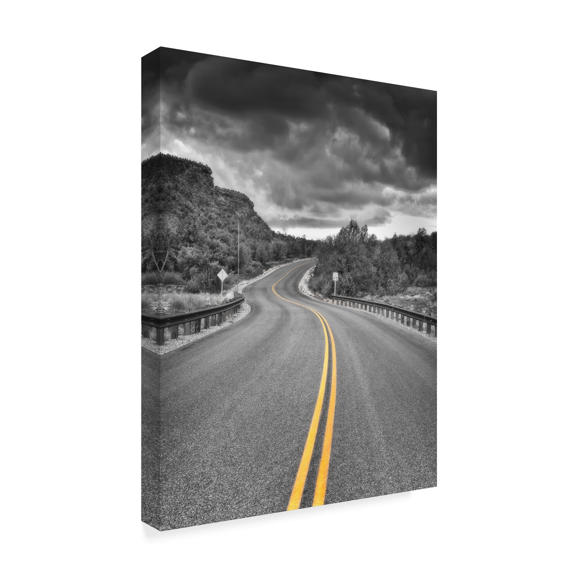 Trademark Fine Art '25 Miles' Canvas Art by Janice Sullivan