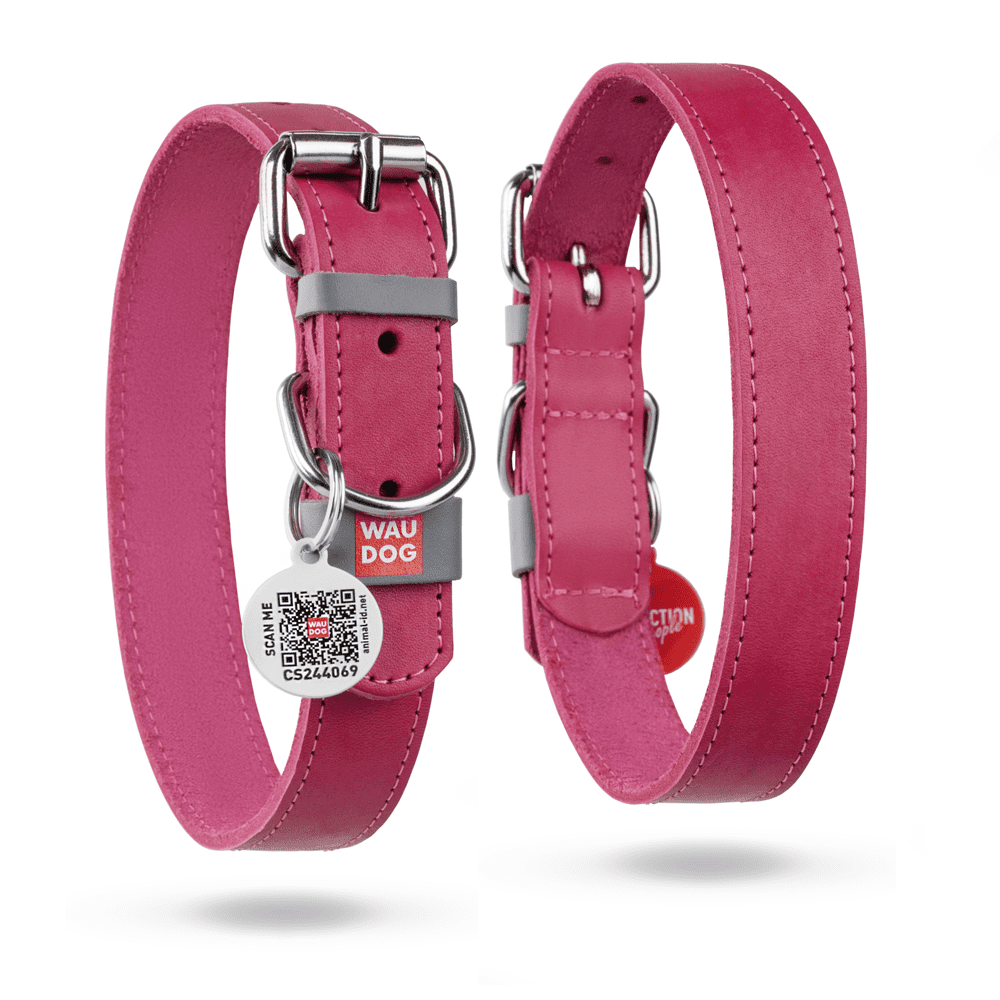 WAUDOG Classic Leather Dog Collar for Small, Medium and Large Dogs