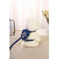 thumbnail image 2 of Dog Harness Backpack w/ Leash, 2 of 6