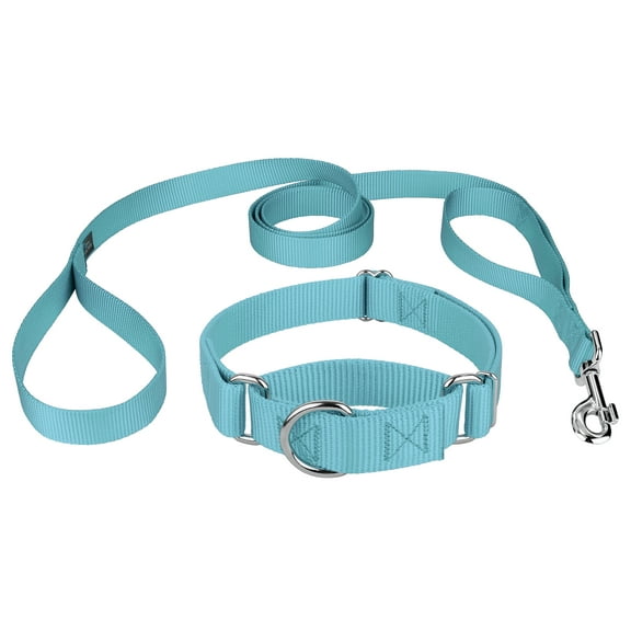 Country Brook Petz® Martingale Heavyduty Nylon Dog Collar and Double Handle Leash - Ocean Blue - Extra Large