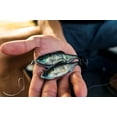 thumbnail image 2 of 6th Sense – Masterclass Panorama Swimbait – Soft Plastic Swimbait with Hook & Weight – Multiple Realistic Swimming Action, 2 of 4