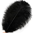 thumbnail image 3 of Plumas de Avestruz Soarer 15 piezas 25-30 cm Plumas Negras, 3 of 7