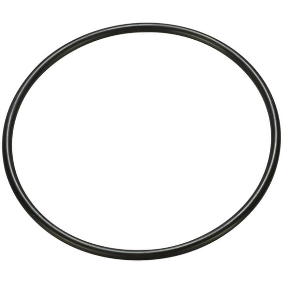 Spectra Premium LO167 Fuel Tank O-Ring