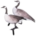 thumbnail image 1 of TEHAUX 2pcs Duck Stakes Duck Shape Acrylic Outdoor Decoration for Garden, 1 of 4