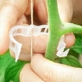thumbnail image 5 of 100pcs Plant Support Clips Useful Tomato vegetable Garden Trellis Twine Greenhouse, 5 of 6