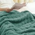 thumbnail image 6 of Exclusivo Mezcla Fleece Throw Blanket for Couch, Super Soft Warm Lightweight Checkered Pattern Blanket for All Seasons, Celadon, 50"x60", 6 of 7