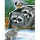 thumbnail image 3 of Cuadros Decorativos 5D DIY diamante pintura mapache completo redondo taladro mosaico Rhinestone hogar imagen Ndcxsfigh Nuevos Originales, 3 of 9