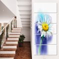 thumbnail image 1 of White Gerbera Daisy in Blue, 1 of 3