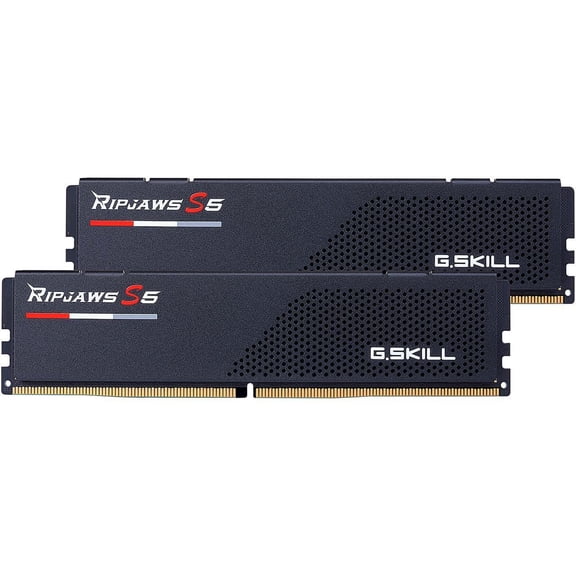 G.SKILL Ripjaws S5 Series 32GB (2 x 16GB) 288-Pin PC RAM DDR5 6000 (PC5 48000) Desktop Memory Model F5-6000J3238F16GX2-RS5K