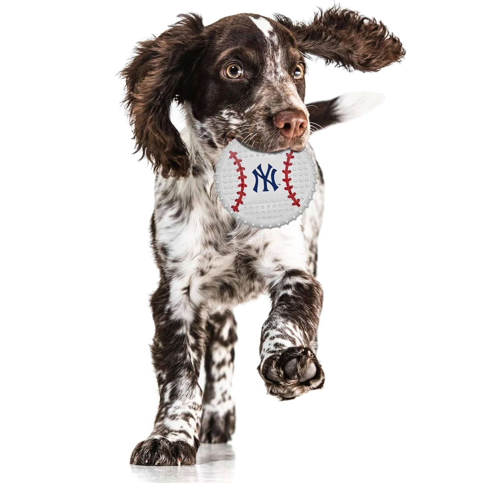 Pets First MLB Hard-Nylon Baseball Flavored Dog Chew Toys for Aggressive Chewers