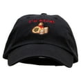 thumbnail image 5 of I'm Rich 8-bit Money Low Profile Pet Spun Washed Cap - Black OSFM, 5 of 5