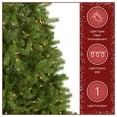 thumbnail image 6 of National Tree Company Pre-Lit Feel Real®Artificial Christmas Tree, Green, Downswept Douglas® Fir, Clear Lights, Includes Stand, 6.5 Feet, 6 of 8