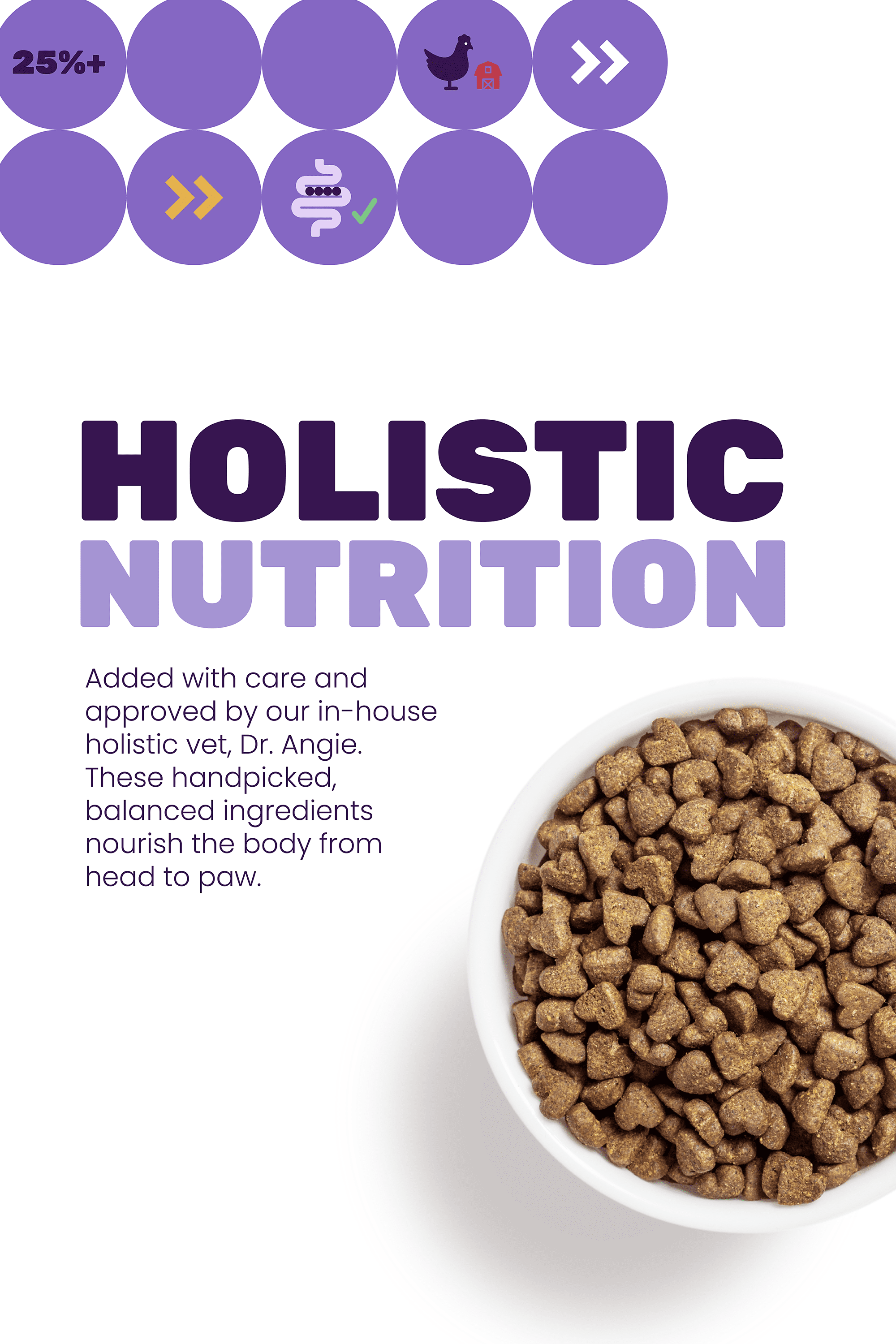 Holistic vet recommended cat food cheap