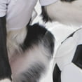 thumbnail image 4 of Coolnut Border Collie in Soccer Outfit Bath Shower Curtain Liners 72x72in 100% Polyester Waterproof with Curtain Hook, 4 of 6