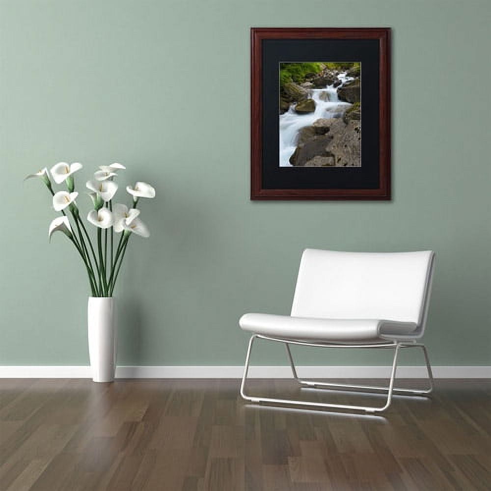 Trademark Fine Art "Wet Rocks" Canvas Art by Philippe Sainte-Laudy, Black Matte, Wood Frame