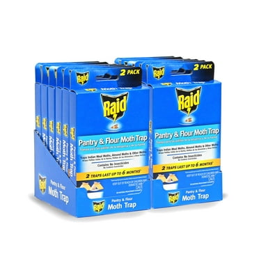 Raid Pantry & Flour Moth Trap with Lure, Sticky Glue Trap (24 Traps)