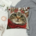 thumbnail image 2 of PHYHOO Christmas Pillow Cover Merry Christmas Cat Decoration Holiday Farmhouse Pillow Case Decor for Home Sofa Couch, 2 of 5