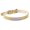 Gold-XXL, variant on Collars Metal Buckle Collar for Nameplate ID-Tag Safety Collar Engraving Pet Track Your Collar