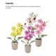 thumbnail image 4 of Flor artificial Naiovety decorativa para macetas Amarillo, 4 of 6