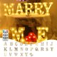 thumbnail image 1 of Luces LED con letras - 26 carteles del alfabeto para fiestas • Decoración blanca cálida a pilas • Palabras caseras para Navidad, cumpleaños o bar, 1 of 2