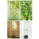 thumbnail image 4 of 12 piezas/especificaciones vendidas: diámetro 11 mm longitud 30 cm/adecuado para poste de 11 mm Tubo de acero recubierto de plástico accesorios de pilar de jardinería soporte ANGGREK Otros, 4 of 8
