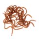 thumbnail image 5 of 20Pcs / Caja Artificial 9cm Lombriz Lombrices de Cebos Suaves Olor Señuelos de Pesca, 5 of 7