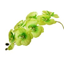 Farfi 1Pc Artificial Flower Butterfly Orchid Garden DIY Wedding Party Desktop Decor (Green)