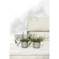 thumbnail image 4 of Ecopots Oslo Mini Durable Modern Round Indoor/Outdoor Recycled Based Composite Flower Pot Planter, Taupe, 4.5", 4 of 4