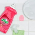 thumbnail image 3 of Palmolive Essential Clean Liquid Dish Soap, Grapefruit Pomegranate Scent - 473 mL, Palmolive Essential Clean, 3 of 5