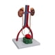 thumbnail image 2 of Modelo de demostración del urogenital Modelo genitourinario humano Muestra de accesorios de ayuda de enseñanza Modelo estructural renal para, 2 of 9