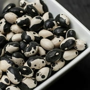 (6 Pack) Black Calypso Beans