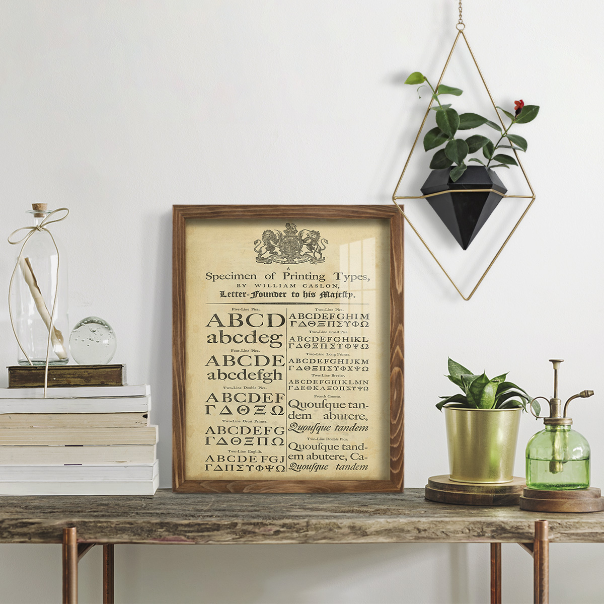 Encyclopediae VI -Framed Print w/glass-Walnut