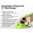 thumbnail image 4 of SuperDesign Mess Free 15° Slanted Bowl for Dogs and Cats, Tilted Angle Bulldog Bowl Dog Feeder, Non-Skid & Non-Spill, Easier to Reach Food L/2 Cup Green, 4 of 7