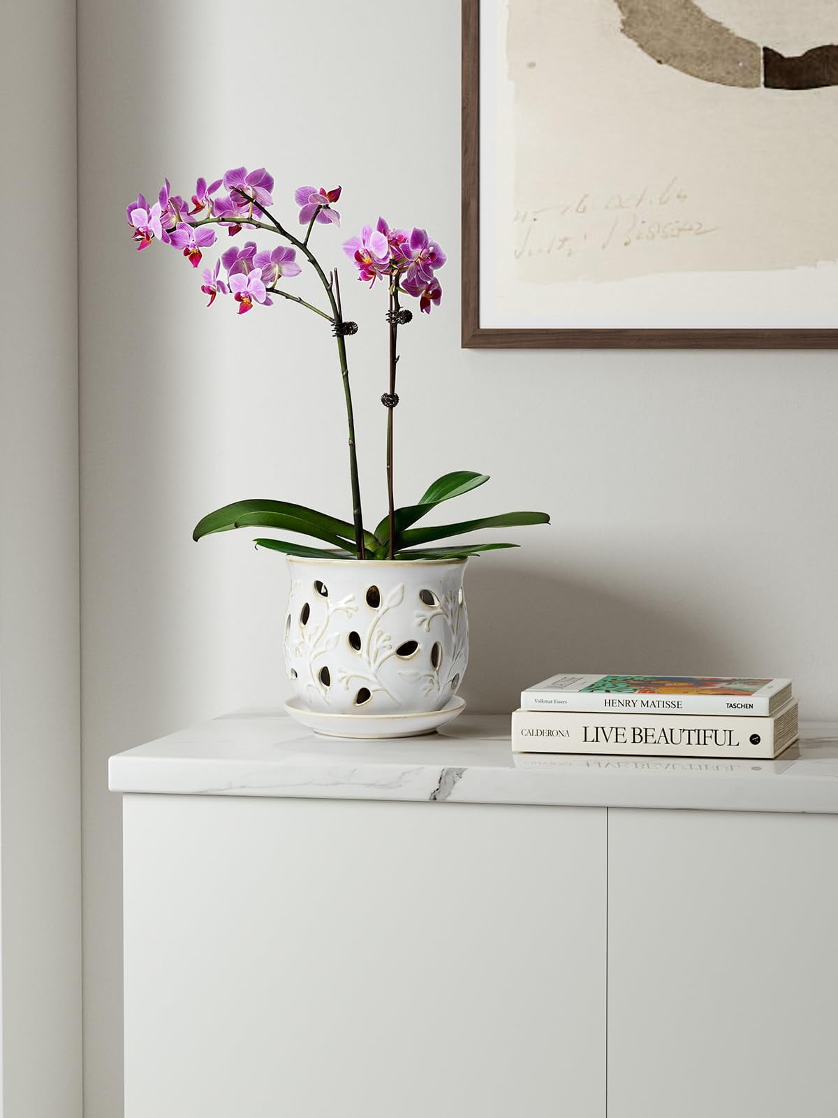 LE TAUCI Ceramic Orchid Pot,6.5" Ceramic Plant Pot with Holes and Saucer,Indoor Flower Pot for Orchid Repotting & Growing,Arctic White (Plant not included)