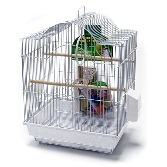 BIRD STARTER KIT