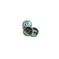 thumbnail image 2 of VONKY Trumpet Gig Buttons Durable Replacement Key Parts for Studio Practicing Club Style G Style G, 2 of 6