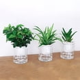 thumbnail image 3 of Pot de Fleurs Auto-Arrosant Mini Design Rond pour Plantes Succulentes d'Intérieur, 3 of 9