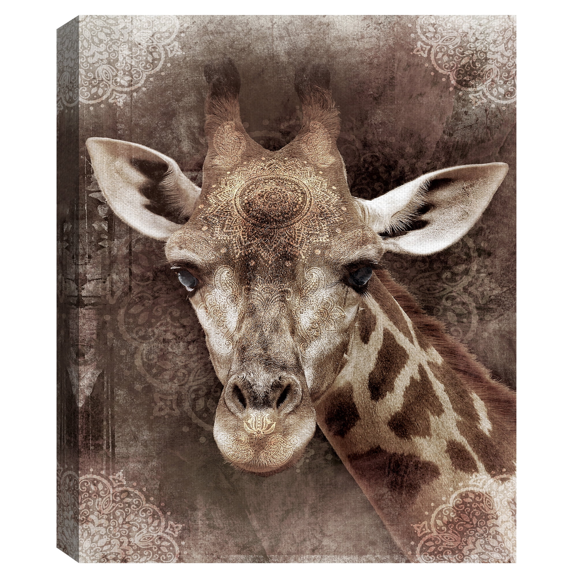 Masterpiece Art Gallery Global Giraffe I By Belle Maison Canvas Art Print 22" x 28"