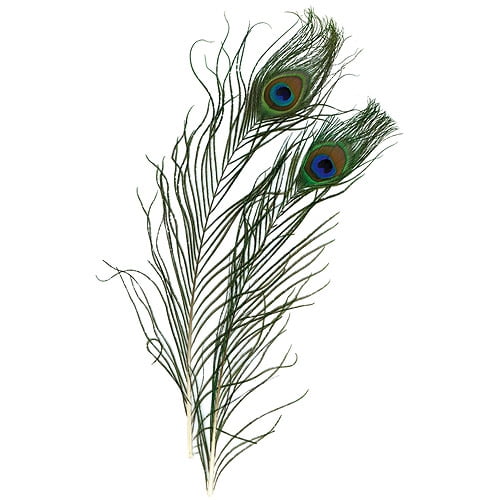 Peacock Eye Feathers, 2/Pkg, Natural